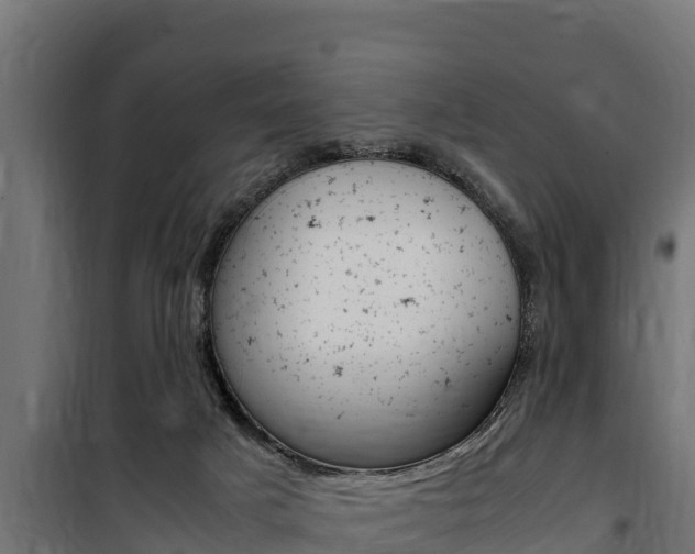 X0000100770025200806190943