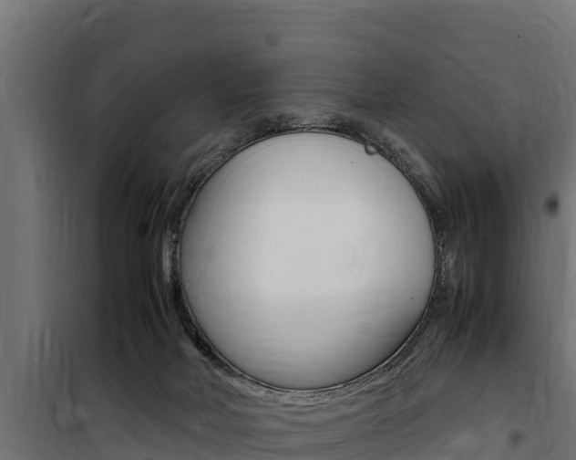 X0000100770026200806190943