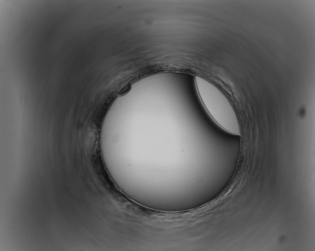 X0000100770029200806190943