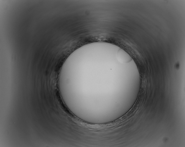 X0000100770030200806190943