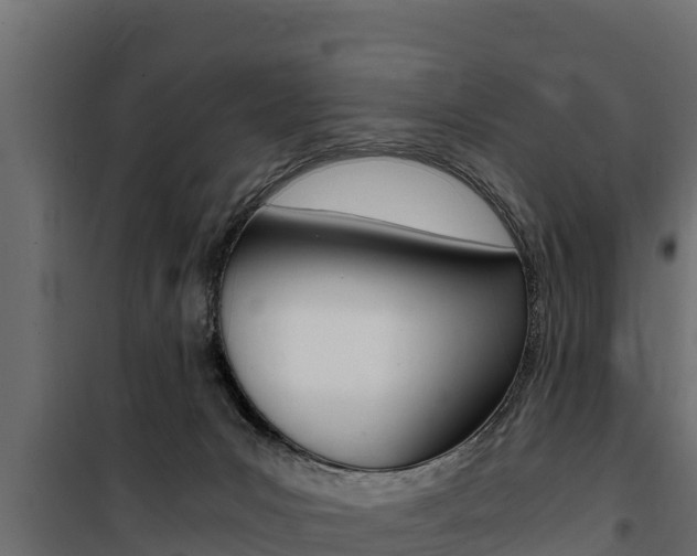 X0000100770031200806190943