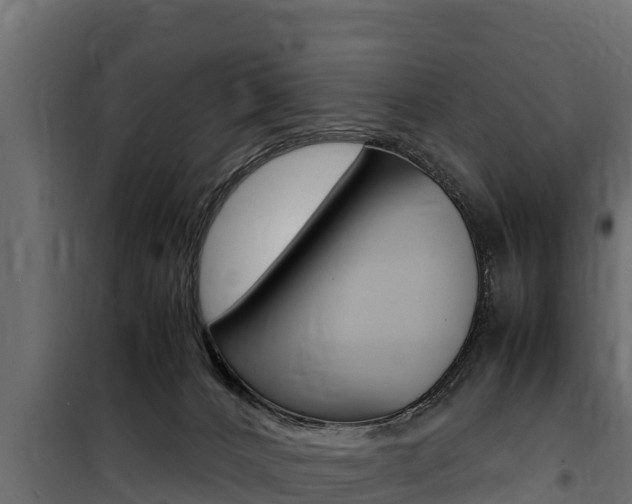 X0000100770032200806190943