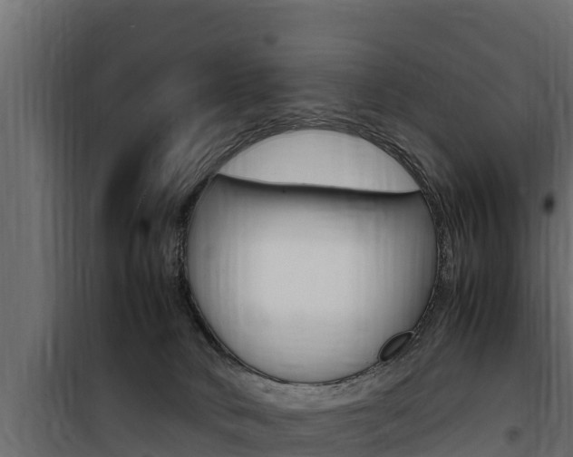 X0000100770034200806190943