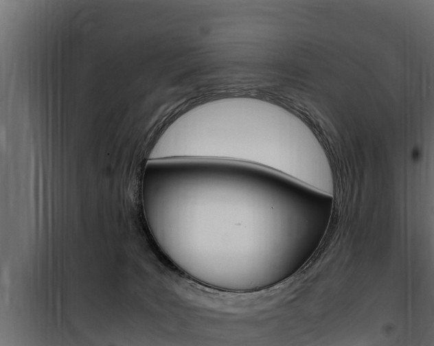 X0000100770035200806190943