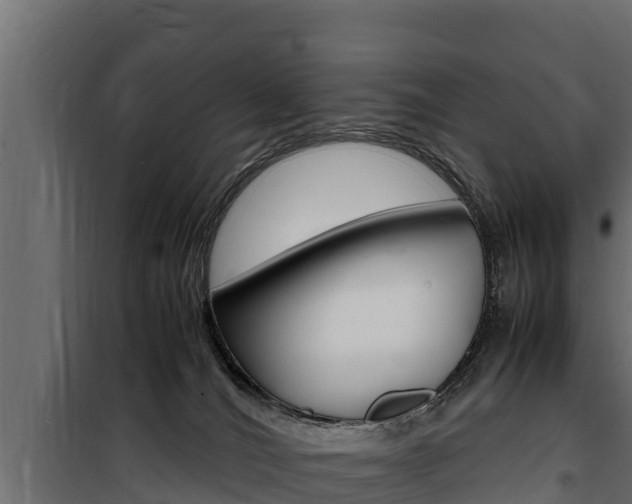 X0000100770036200806190943