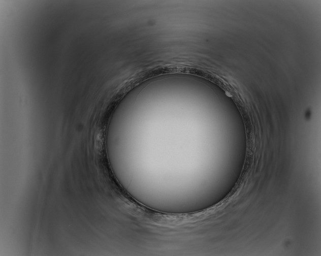 X0000100770037200806190943