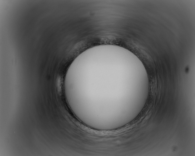 X0000100770038200806190943