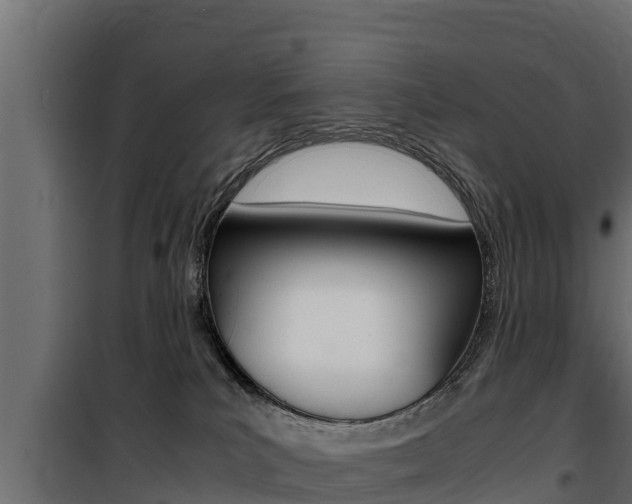 X0000100770039200806190943