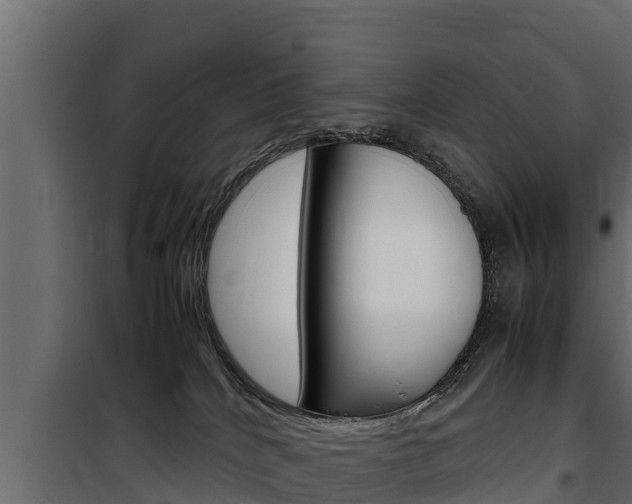 X0000100770040200806190943