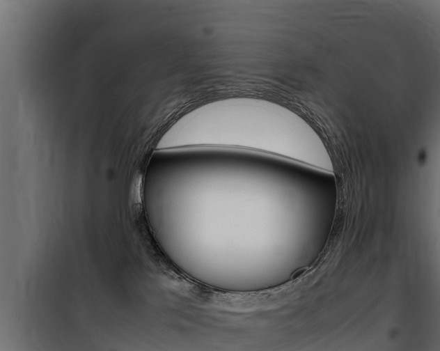 X0000100770041200806190943