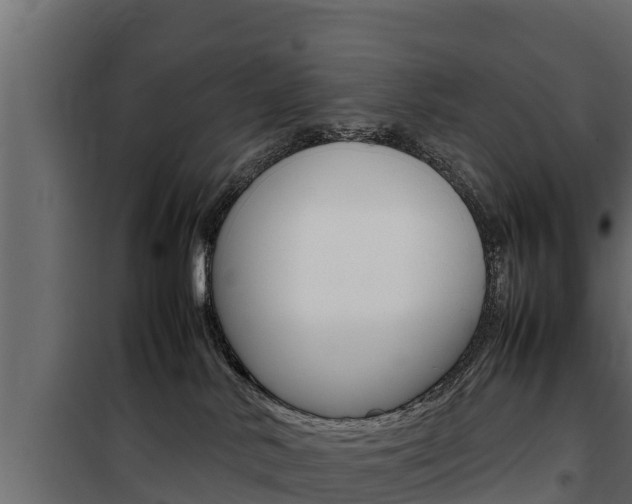 X0000100770042200806190943