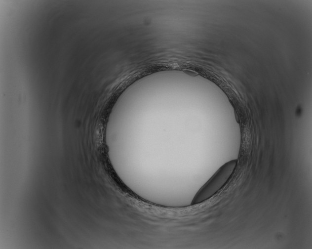 X0000100770043200806190943