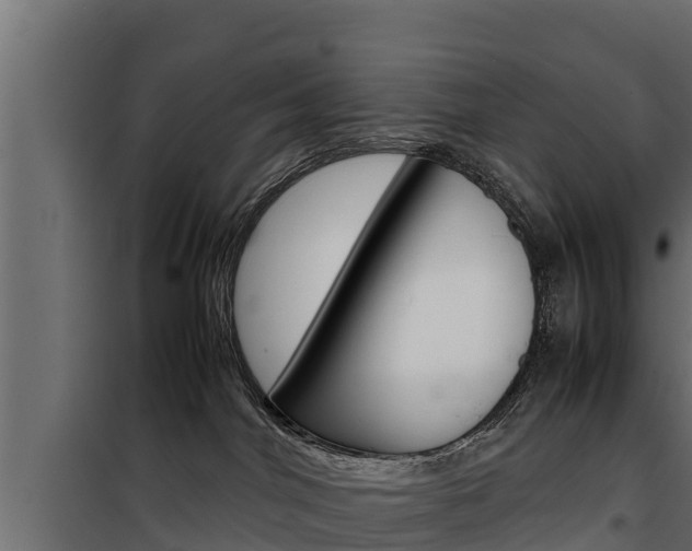 X0000100770044200806190943