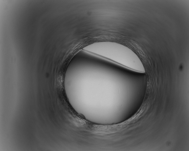 X0000100770045200806190943