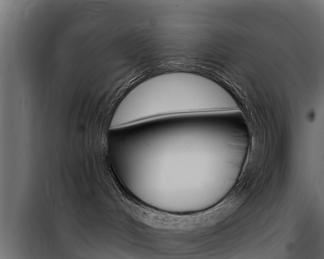 X0000100770048200806190943