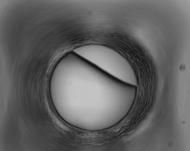 X0000100770049200806190942