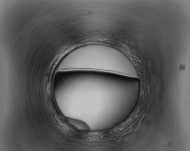 X0000100770050200806190942