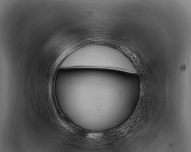 X0000100770051200806190942
