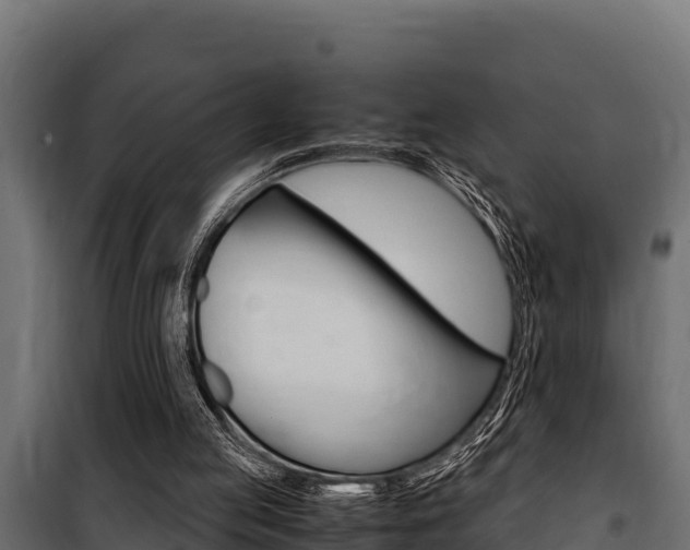 X0000100770053200806190942