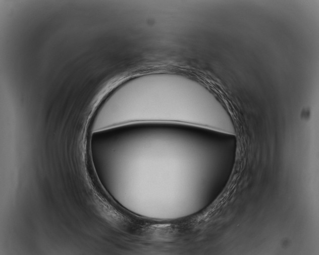 X0000100770054200806190942