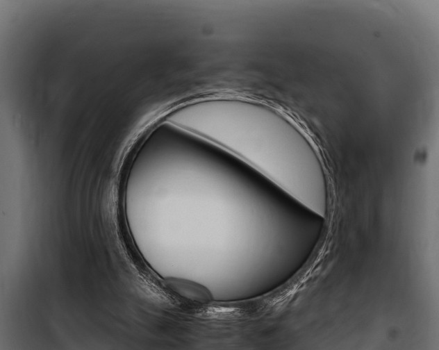 X0000100770055200806190942