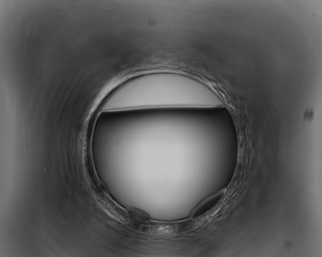 X0000100770056200806190942