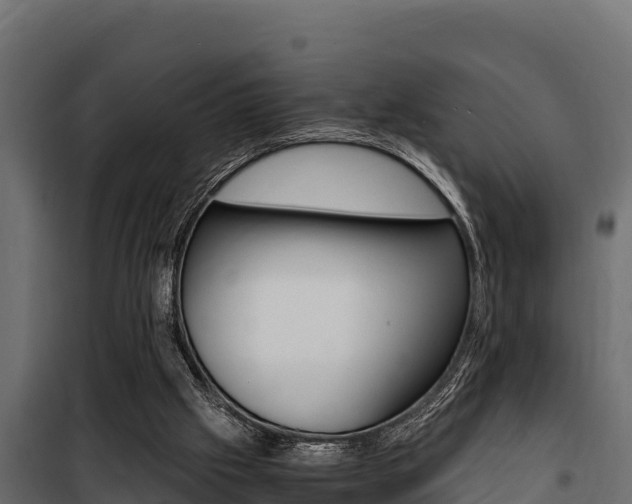 X0000100770057200806190942