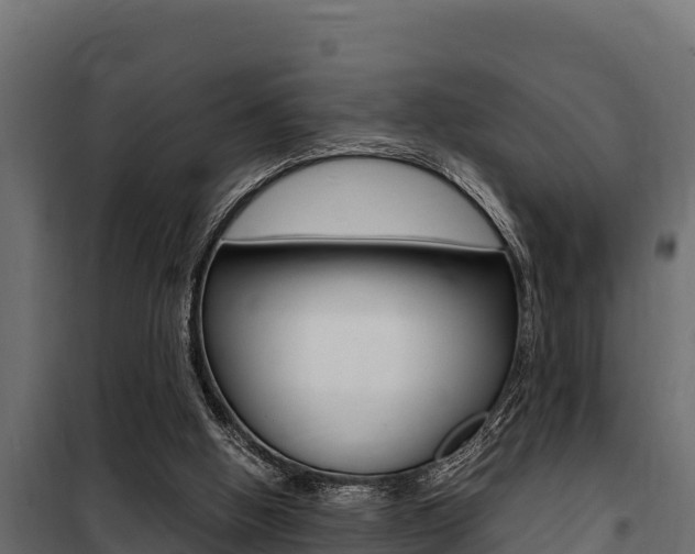 X0000100770058200806190942