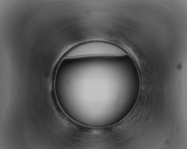 X0000100770060200806190943