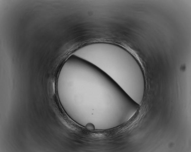 X0000100770061200806190943