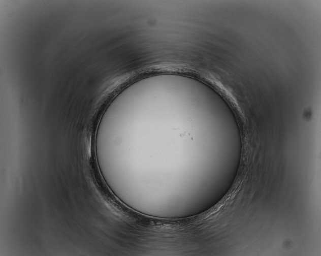 X0000100770062200806190943
