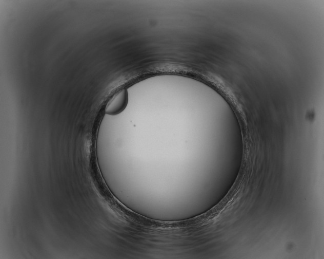 X0000100770063200806190943