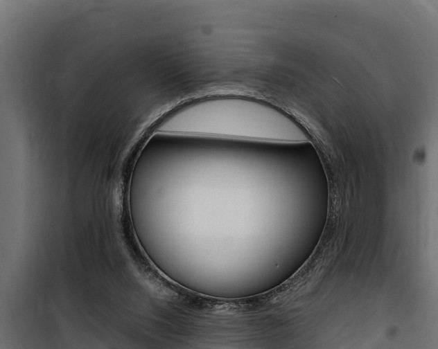 X0000100770064200806190943
