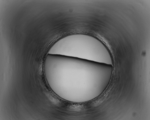 X0000100770065200806190943