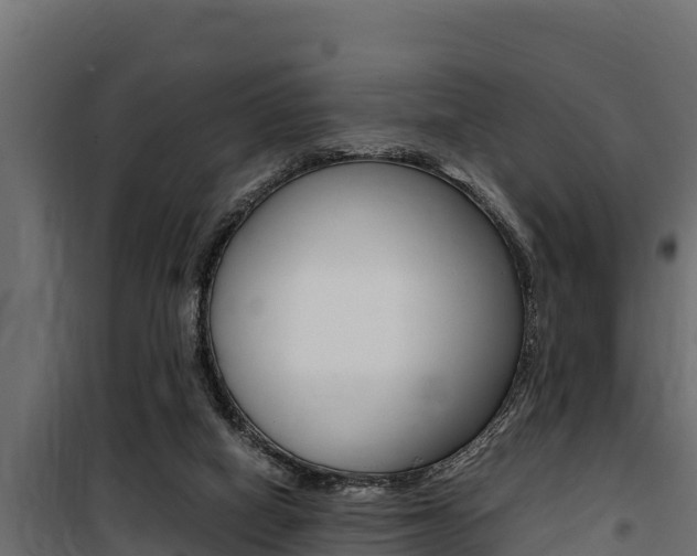 X0000100770066200806190943