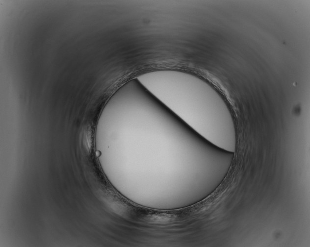 X0000100770069200806190943