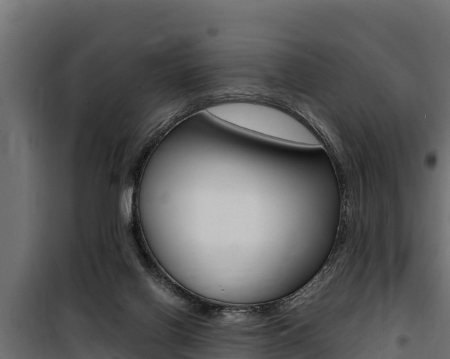 X0000100770070200806190943