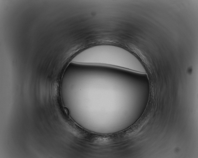 X0000100770071200806190943
