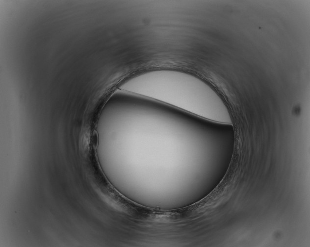 X0000100770072200806190943