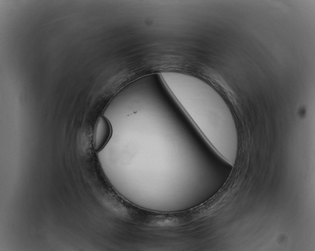 X0000100770073200806190943