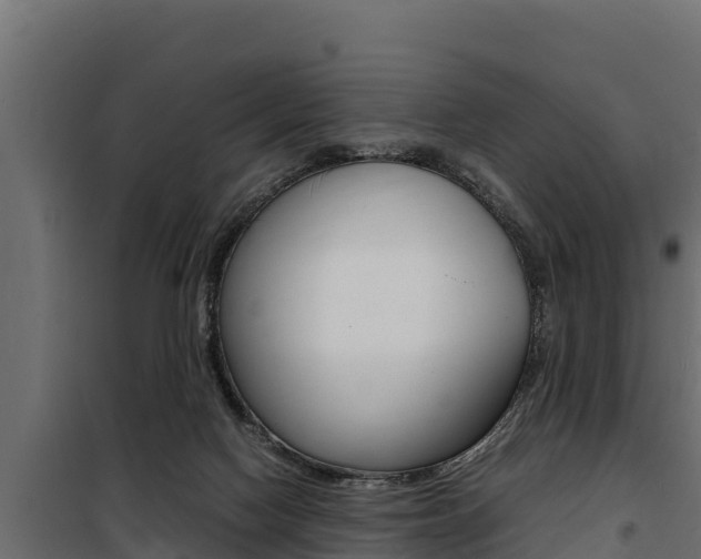 X0000100770074200806190943