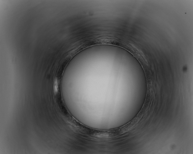 X0000100770075200806190943