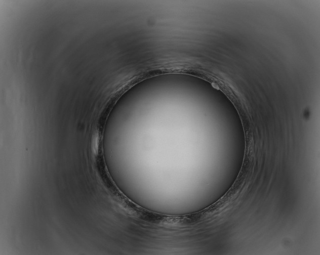 X0000100770076200806190943