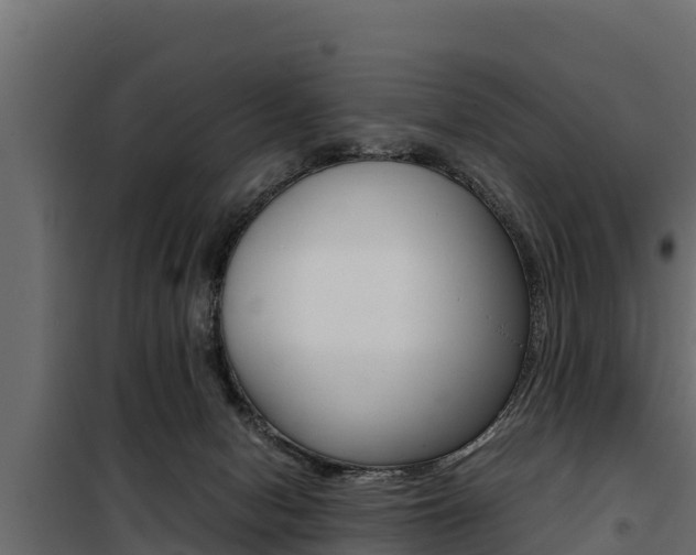 X0000100770078200806190943