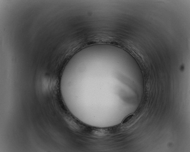 X0000100770079200806190943