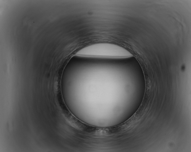 X0000100770080200806190943