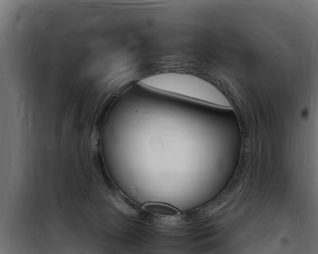 X0000100770081200806190943