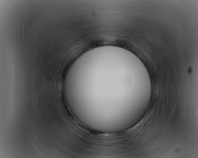 X0000100770082200806190943