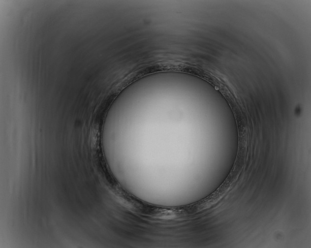 X0000100770083200806190943