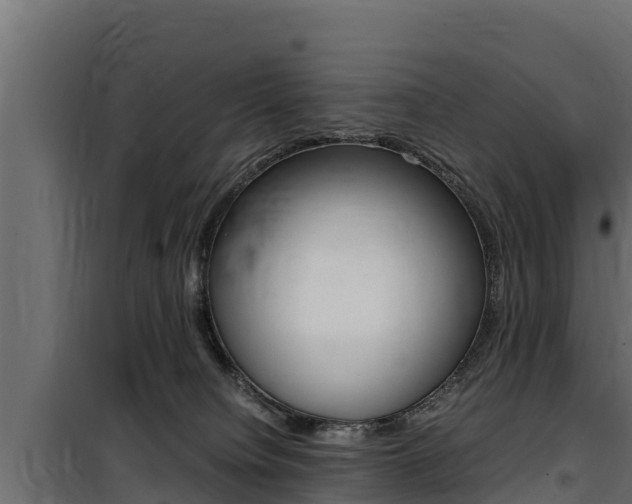 X0000100770084200806190943